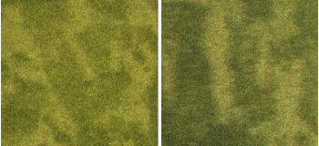 Tapis Mini Natur+ Prairie inondable, 25 x 25 cm - Noch modélisme ferroviaire decor miniature