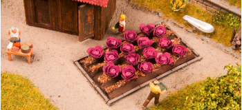 Modélisme ferroviaire : NOCH NO13218 - Chou rouge