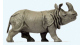 PR29501 - Rhinocéros indien - Preiser