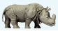 PR29502 - Rhinocéros indien - Preiser