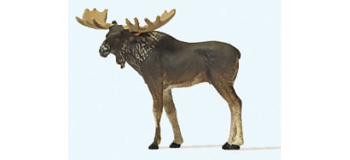 PR29509 - Elan - Preiser