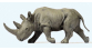 PR29522 - Rhinocéros d'Afrique - Preiser