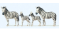 PR20387 - Zèbres - Preiser