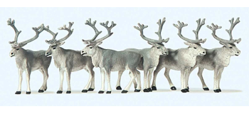 PR20394 - Rennes - Preiser