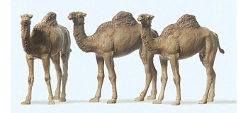PR20397 - Dromadaires - Preiser