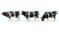 figurines miniatures Preiser 65324 - Vaches