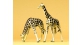 Modélisme ferroviaire : PREISER PREI20385 - Girafes
