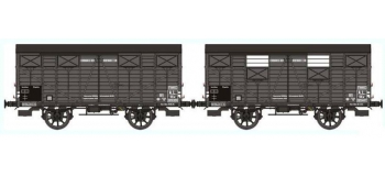 REE WB248 - Set de 2 Wagons COUVERT OCEM 19 Ep.II – AL