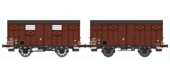 REE WB252 - Set de 2 Wagons COUVERT OCEM 19 Ep.III B