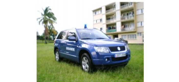 RIE11382G - Suzuki Gendarmerie - Rietze