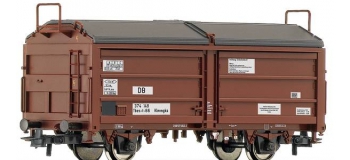 R66917 wagon parois coulissantes