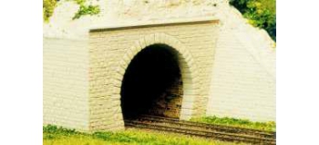 SAI 0301 - 2 entrées de tunnel à 2 voies  - SAI